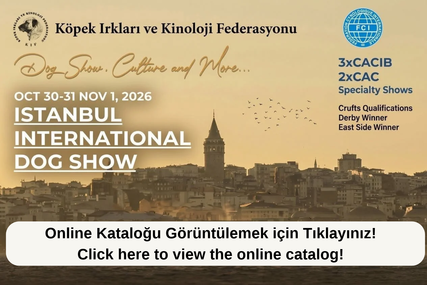 İstanbul International Dog Show 2026 Online Katalog Yayında